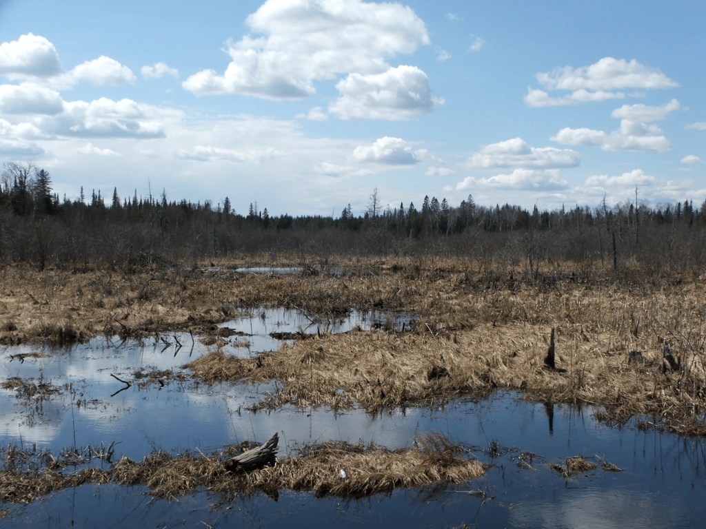 St. Louis County works to create new wetland bank