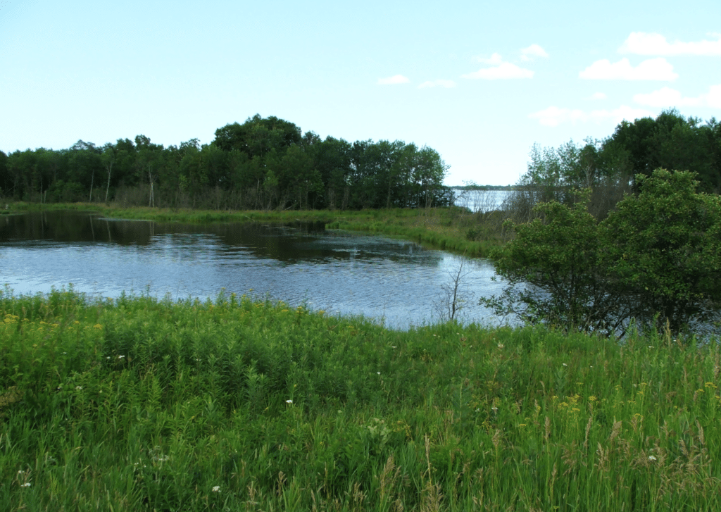 St. Louis River at proposed park site